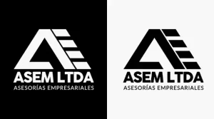 Diseño asesoría empresarial asem